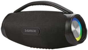 40W 3000 Mah Çift Mikrofonlu Taşınabilir Bluetooth Hoparlör BTS-X300