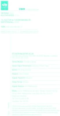 Simurg'un Gölgesinde İran - Bir Gezi Rehberi