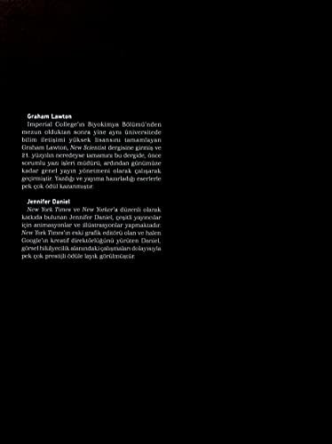 Neredeyse Her Şeyin Kökeni