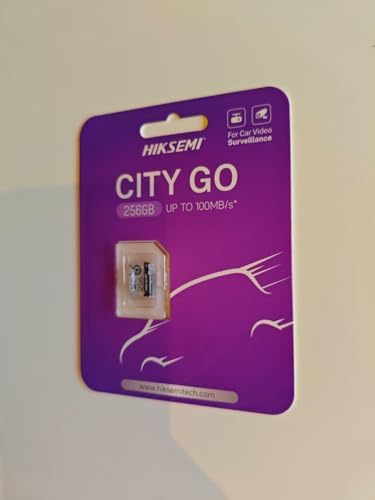 HS-TF-M1 256 GB Micro SD