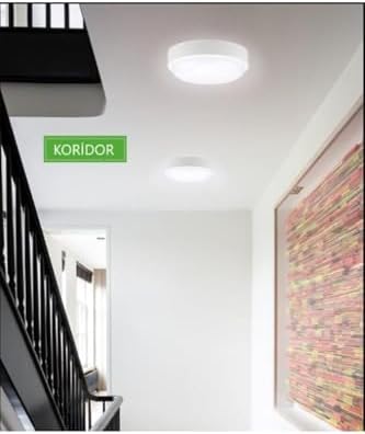 Banyo Tavan Lambası 20w Yuvarlak Beyaz Balkon Lambası 6400k Beyaz Led Işık Teras Duvar Lambası (Beyaz)