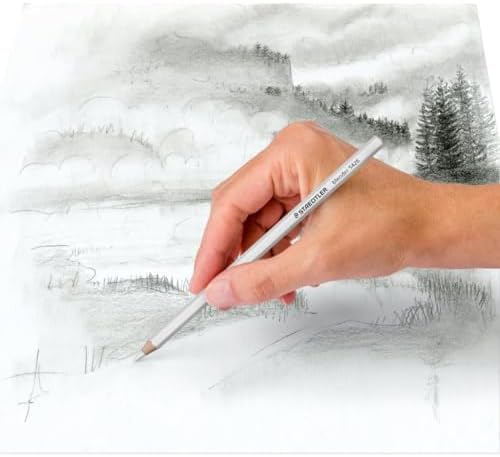 - Sanatçılar için yüksek kaliteli gölgeleme kalemi, Karıştırma ve nüanslar oluşturmak için ideal, blister ambalajda, 5426BLBK-C