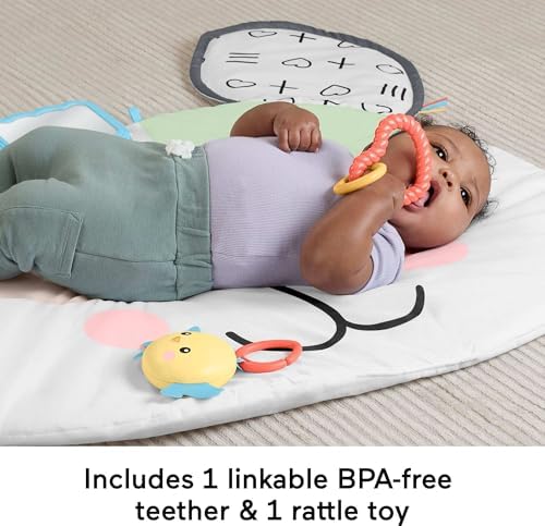 Yenidoğanlar için karın üstünde oynama oyuncağı, Sevimli Köpekçik Büyük Oyun Minderi ve duyusal gelişim aktiviteleri, HYR51