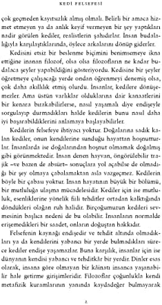 Kedi Felsefesi: Kediler ve Hayatın Anlamı