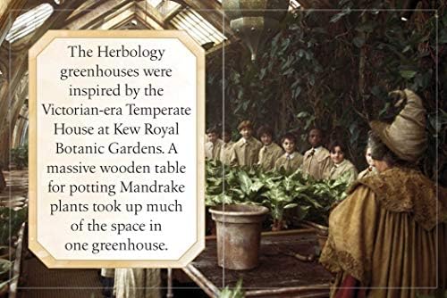 Harry Potter: Hogwarts School of Witchcraft and Wizardry