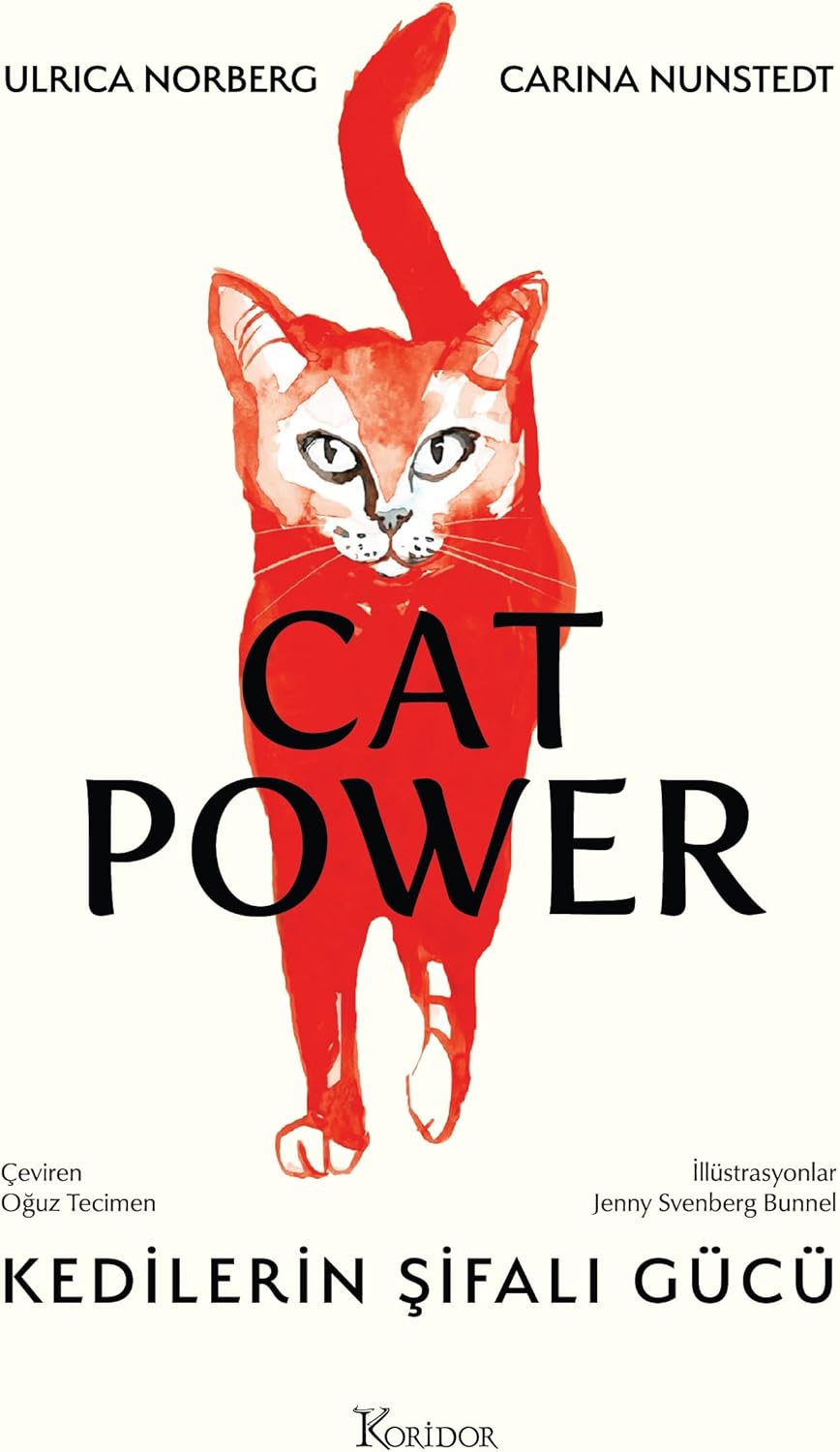 Cat Power: Kedilerin Şifalı Gücü