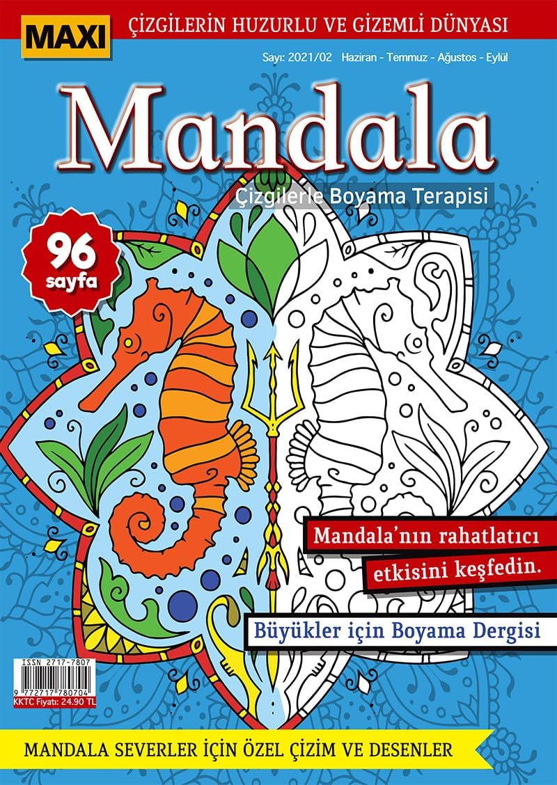 Maxi Mandala Çizgilerle Boyama Terapisi 4