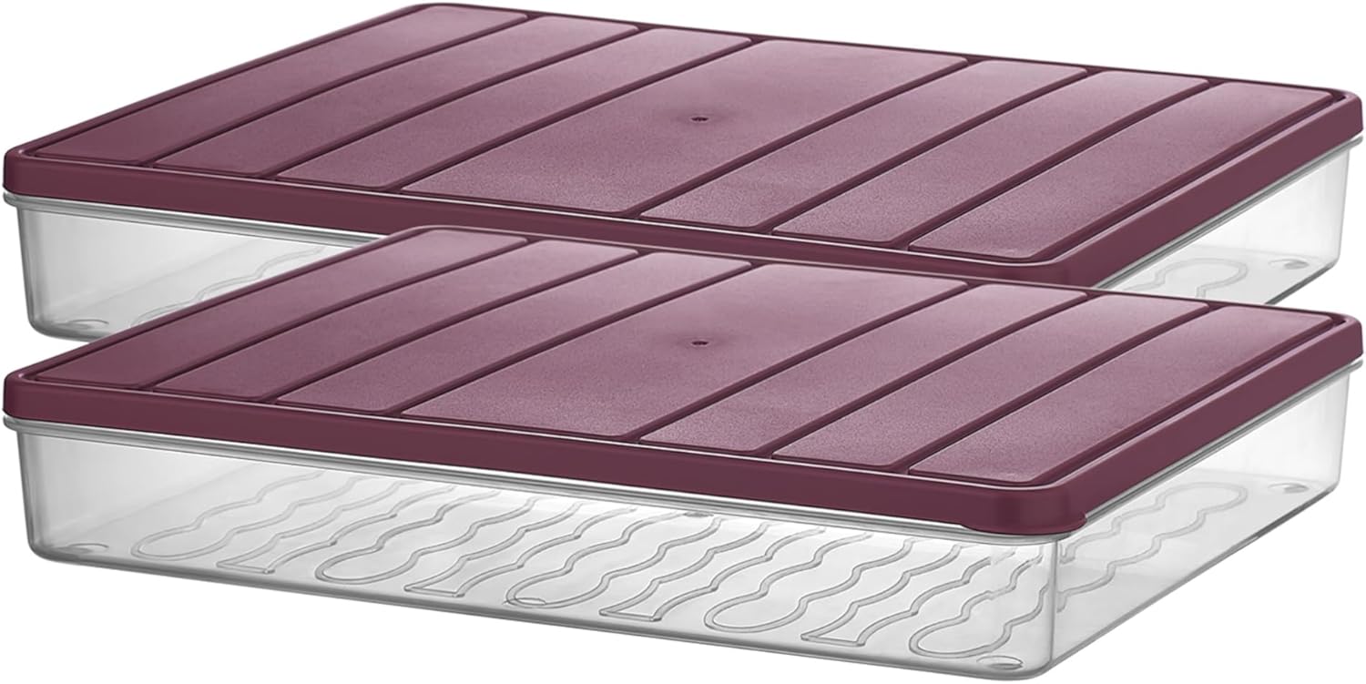 - Nora 2'li 2.5 Litre Büyük Boy Açık Gri Saklama Kabı