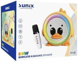 20W 2400 Mah Karaoke Mikrofonlu Ledli Bluetooth Hoparlör BTS-250