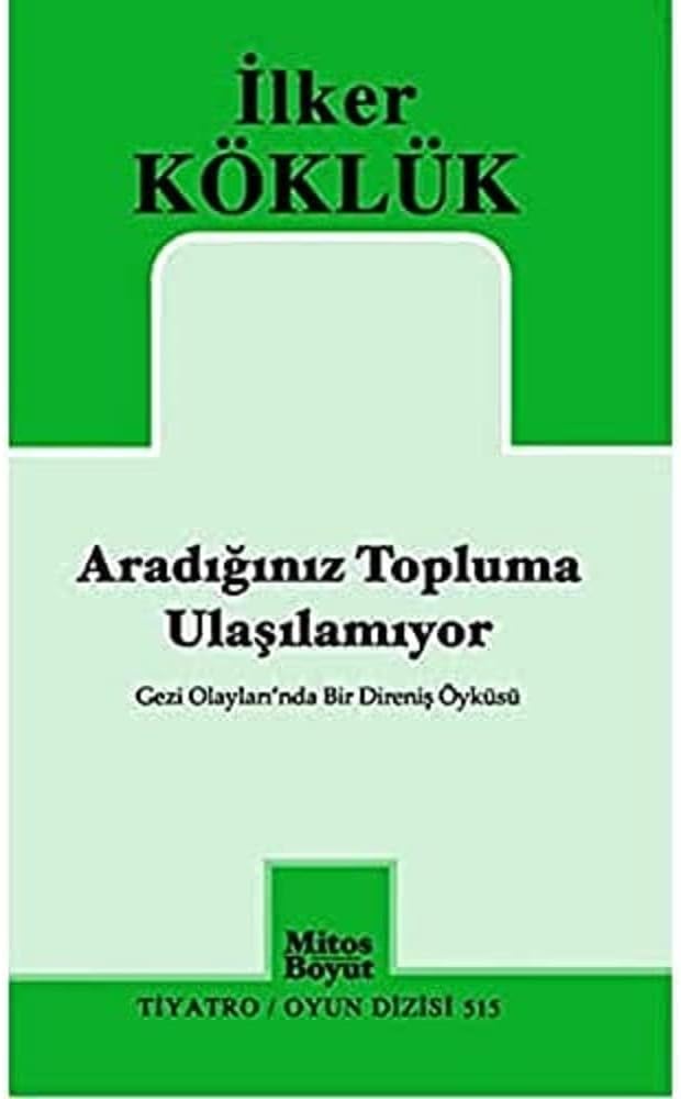 Aradığınız Topluma Ulaşılamıyor: Gezi Olayları'nda Bir Direniş Öyküsü