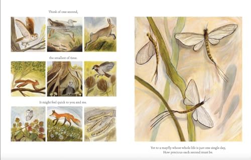 Time Runs Like A River