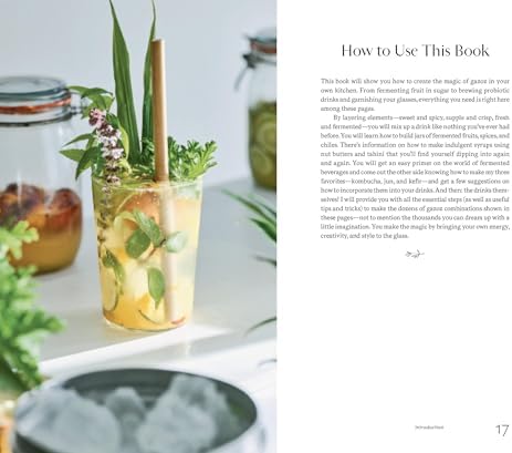 Gazoz: The Art of Making Magical, Seasonal Sparkling Drinks