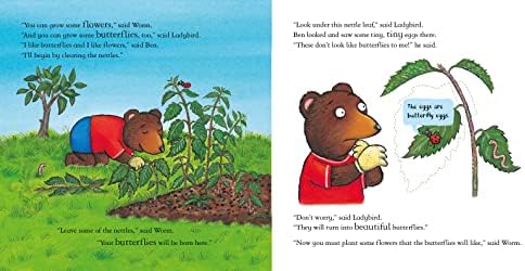 National Trust: Ben Plants a Butterfly Garden