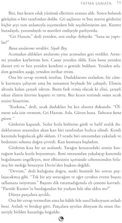 Veyl 2 - Şeytanın Yancısı (Ciltli - Yan Boyamalı - Kutulu Set)