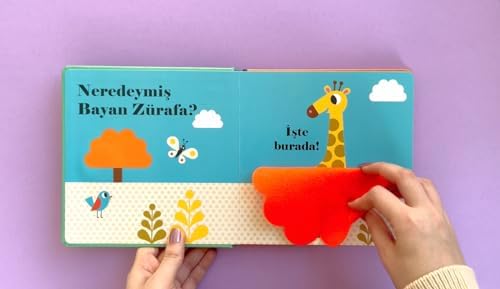 Neredeymiş Bay Aslan? (Dokun, Hisset, Aynaya Bak!)