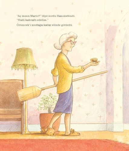 YENİ KEDİ OLMAK İSTEYEN ÖRÜMCEK MARIO