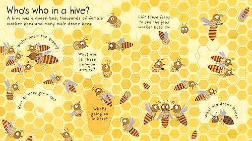Why do we need bees? (Lift-the-Flap First Questions and Answers)