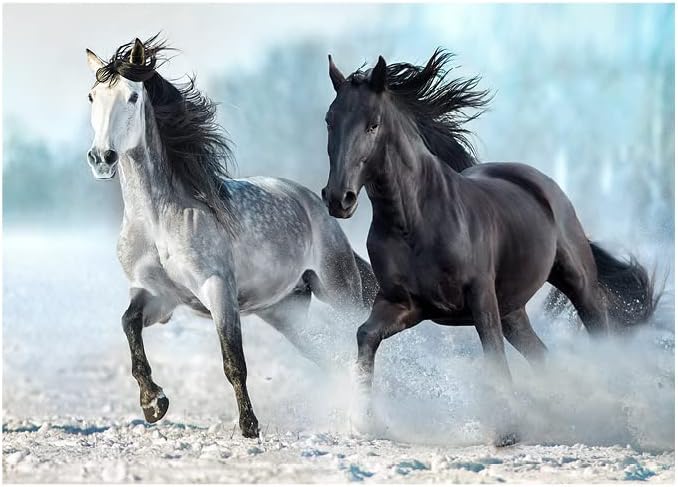 Blue Focus 1000 Parça Puzzle - Horses (Atlar)