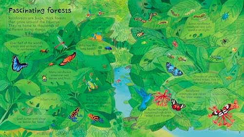 USB - Look Inside Our World