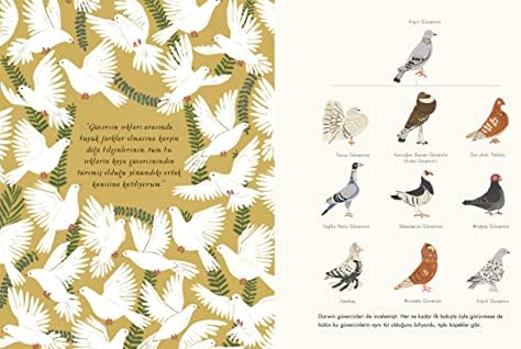 Türlerin Kökeni (Ciltli)