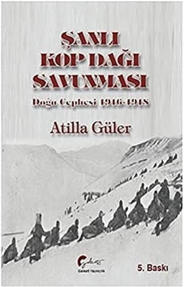 Şanlı Kop Dağı Savunması, Doğu Cephesi, 1916-1918