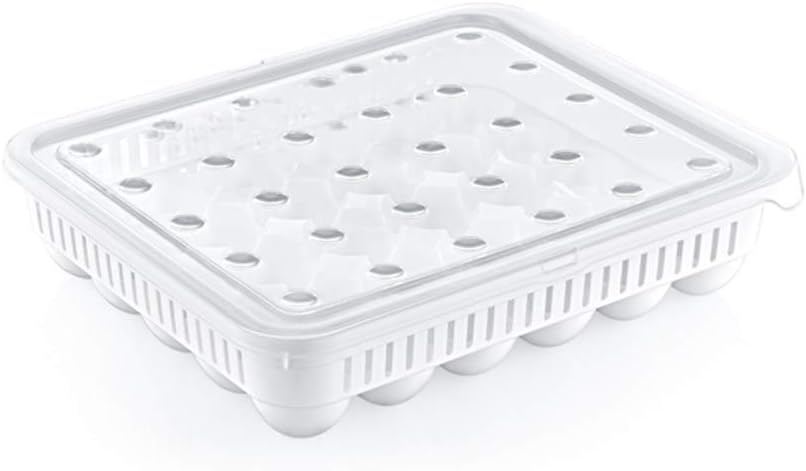 30'lu Yumurta Saklama Kabı