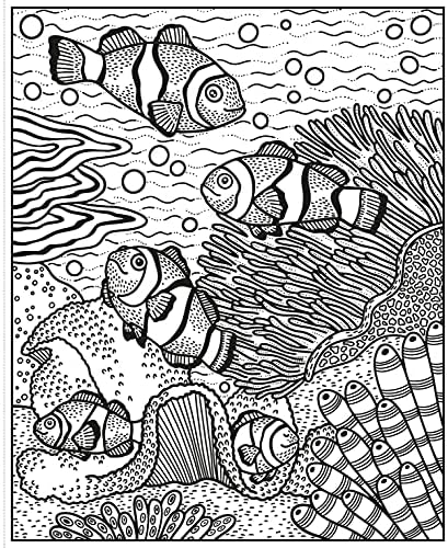 Coral Reef Magic Painting Book