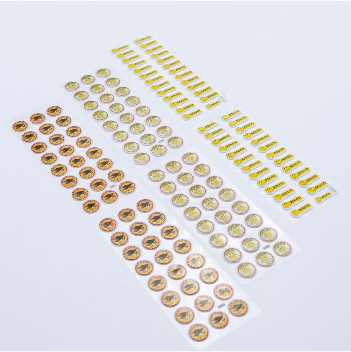 6 Adet Kabartmalı Yapışkan Başarılı Örnek Öğrenci