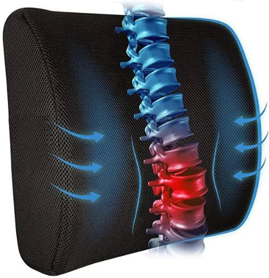 eryatex Ortopedik Sırt Bel Minderi Ofis Oturma Minderi Bel Destek Yastığı Sırt Minderi Minderi