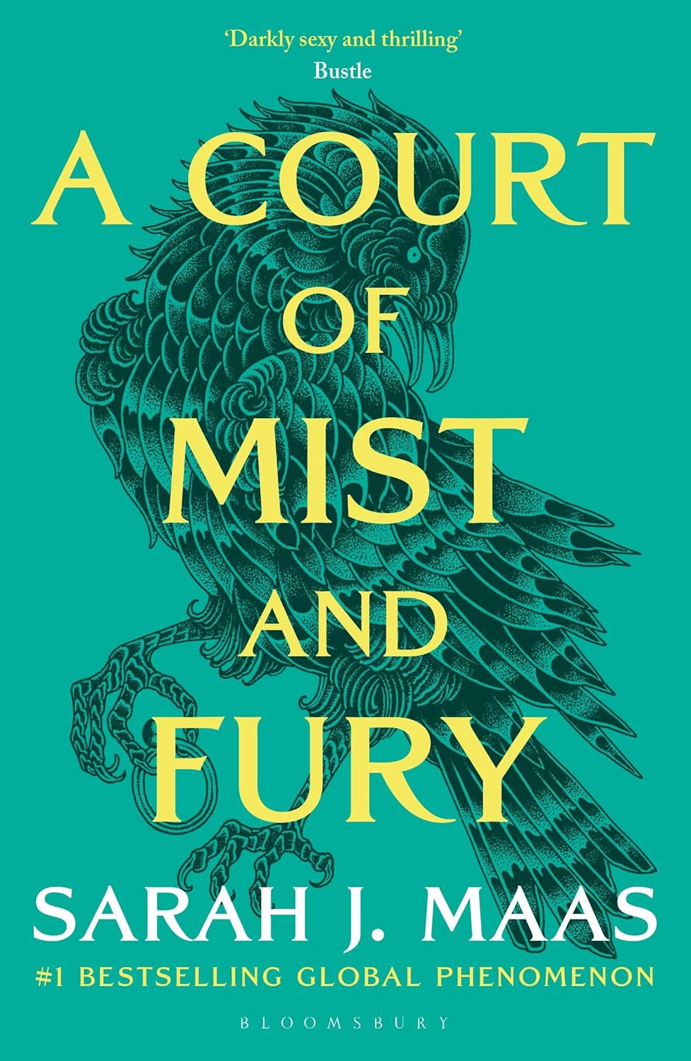 A Court of Mist and Fury: The #1 bestselling series