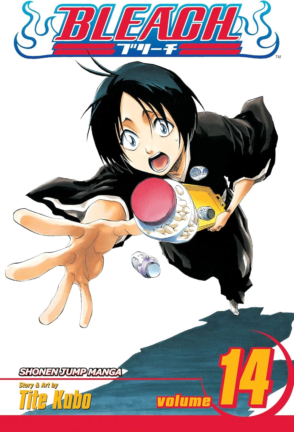 Bleach, Vol. 14: White Tower Rocks