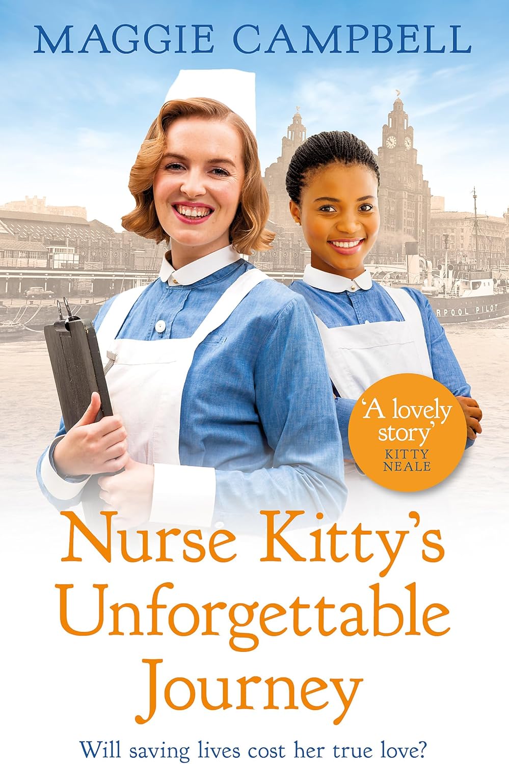 Nurse Kitty's Unforgettable Journey