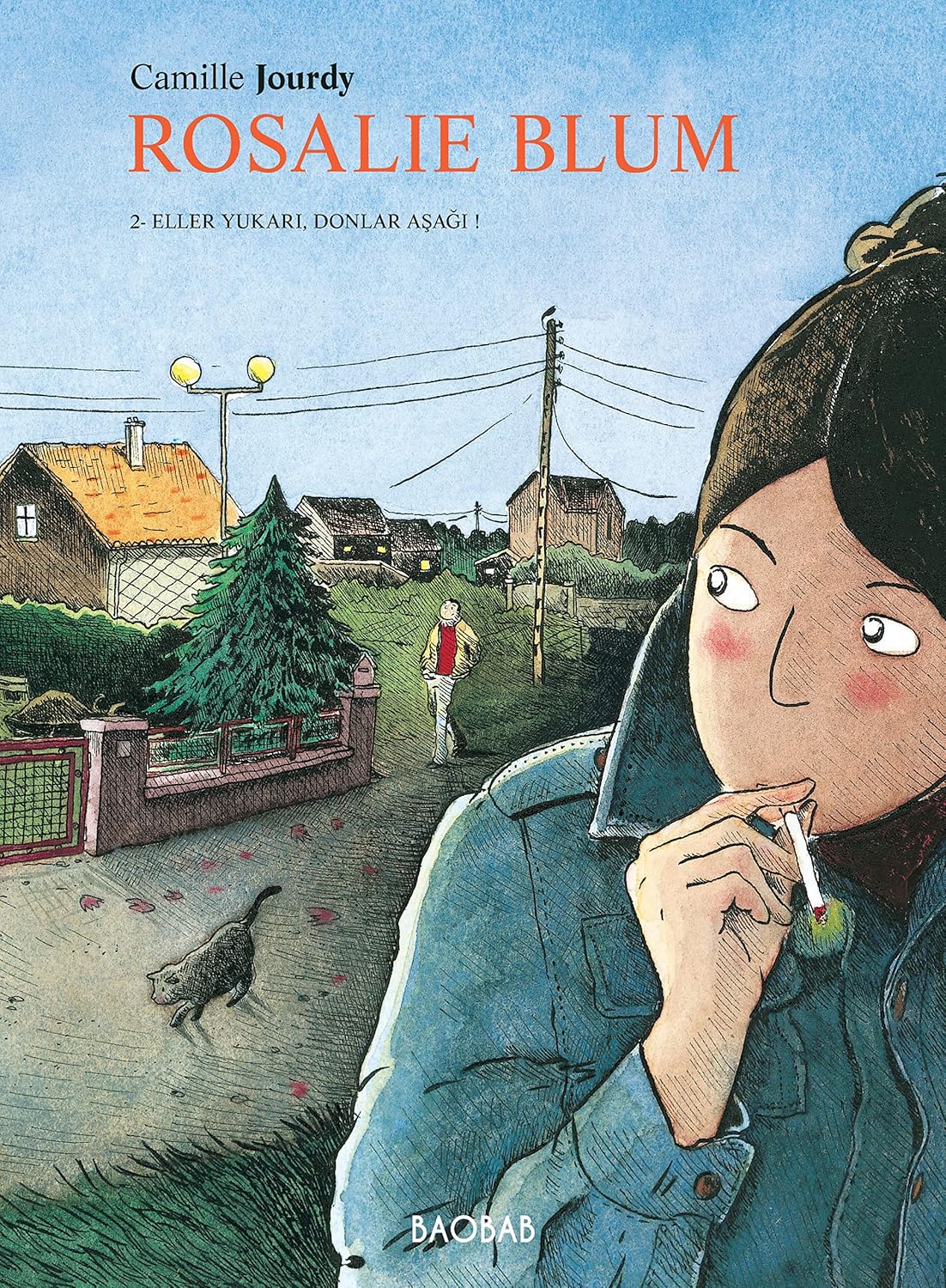 Rosalie Blum 2. Cilt: Eller Yukarı, Donlar Aşağı