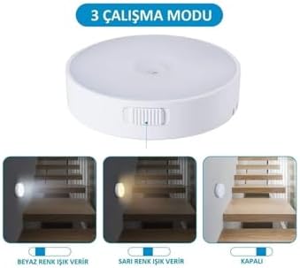 31IZtyALUML._AC_SL1500_-1