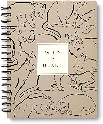 51LMqiRi0LS._AC_SL1500_-1