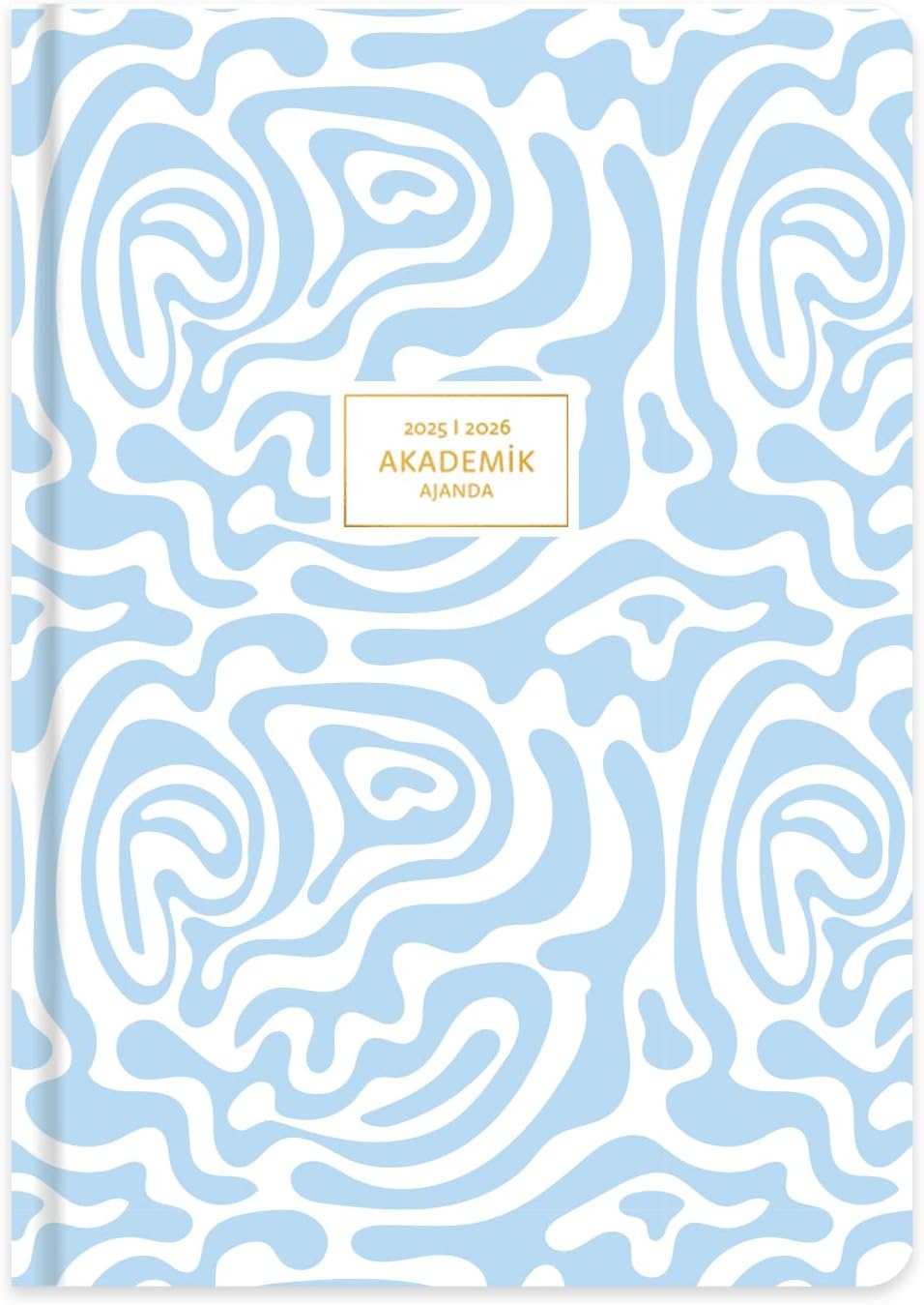 17 * 24 Ciltli Akademik Ajanda - Ritim